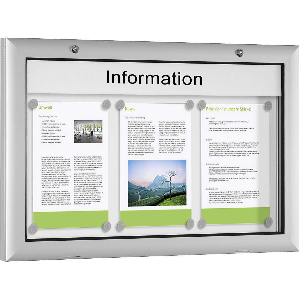 Avizier pentru spații interioare și exterioare (Imagine produs 5)-4