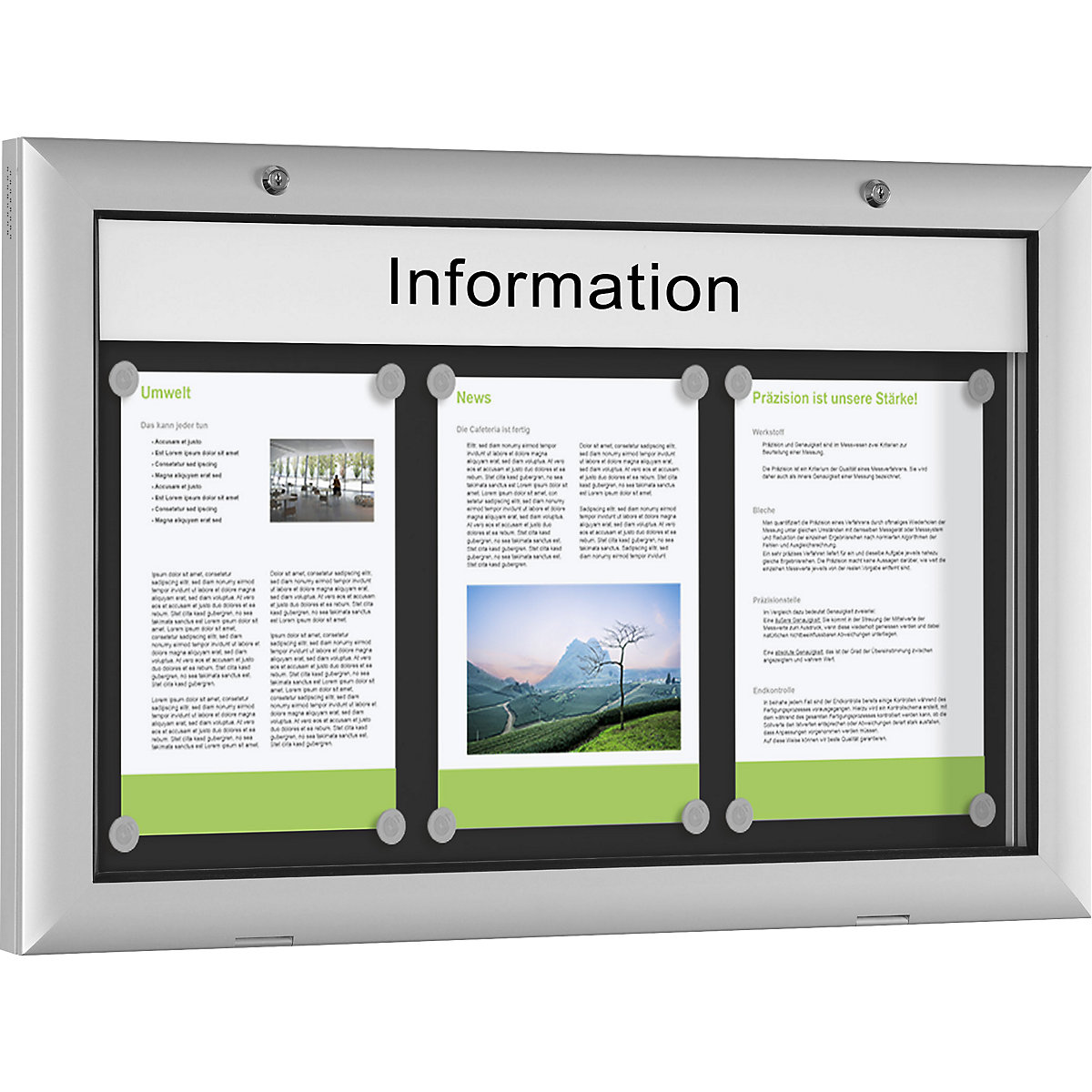 Gablota do zastosowania wewnątrz i na zewnątrz budynku (Zdjęcie produktu 5)-4