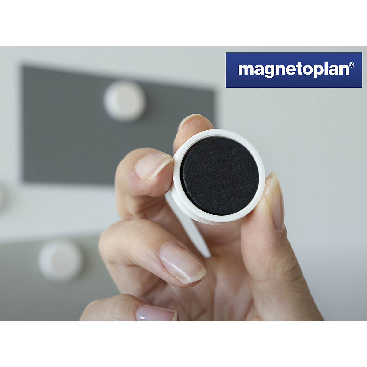 Magnes Ergo – magnetoplan (Zdjęcie produktu 5)-4