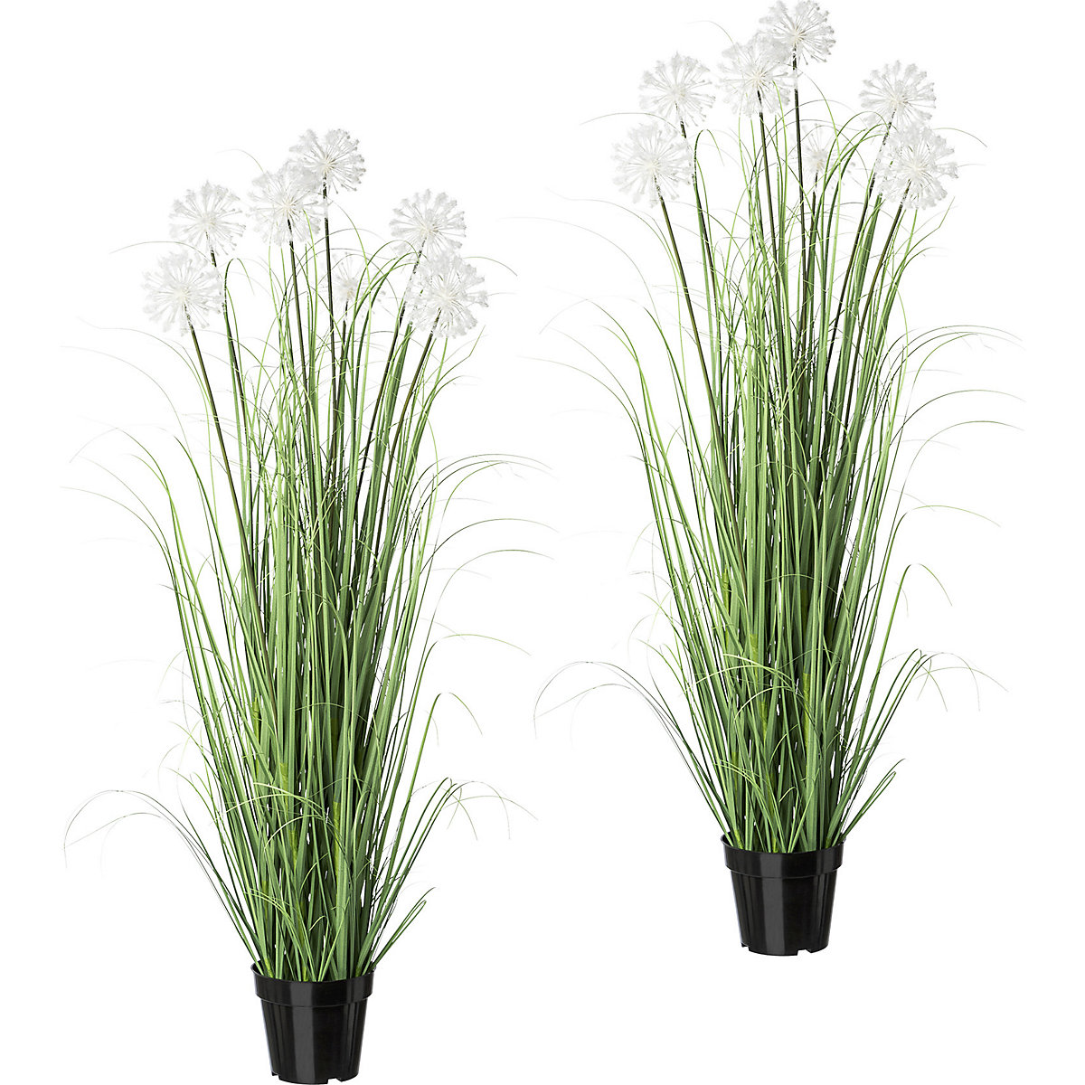 Trawiasty krzewy z dmuchawcami