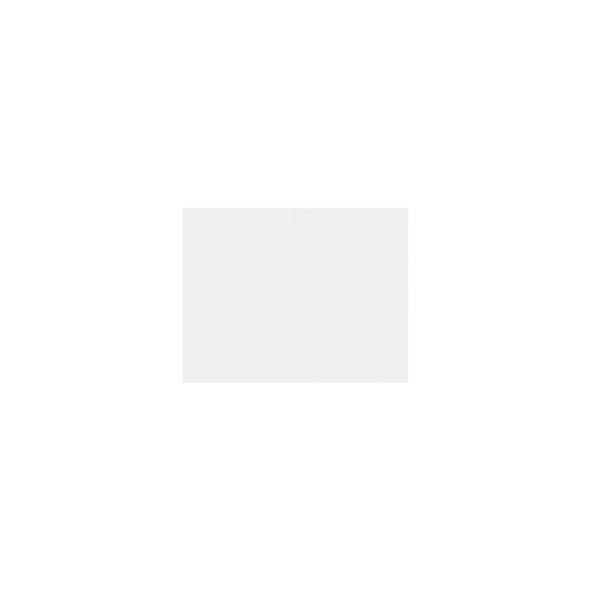 Tableau blanc SHARP – Chameleon