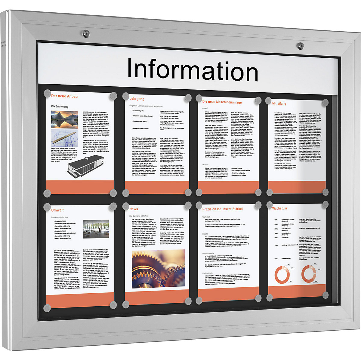 Vitrine d'affichage, ouverture porte 180° vers le bas, pour format A1-1