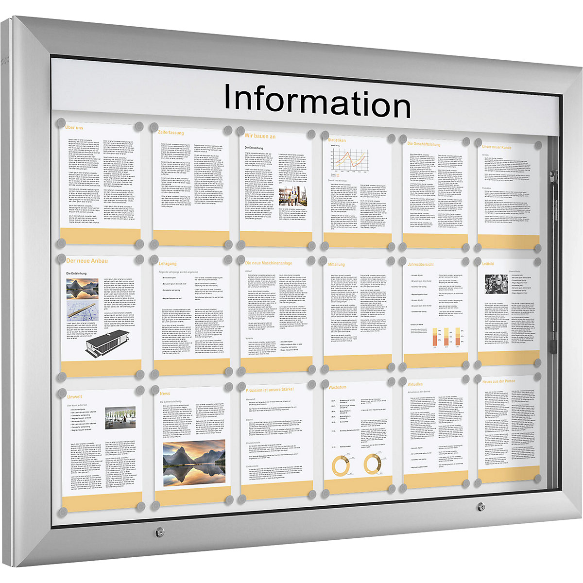 Vitrine d'affichage pour l'intérieur et l'extérieur