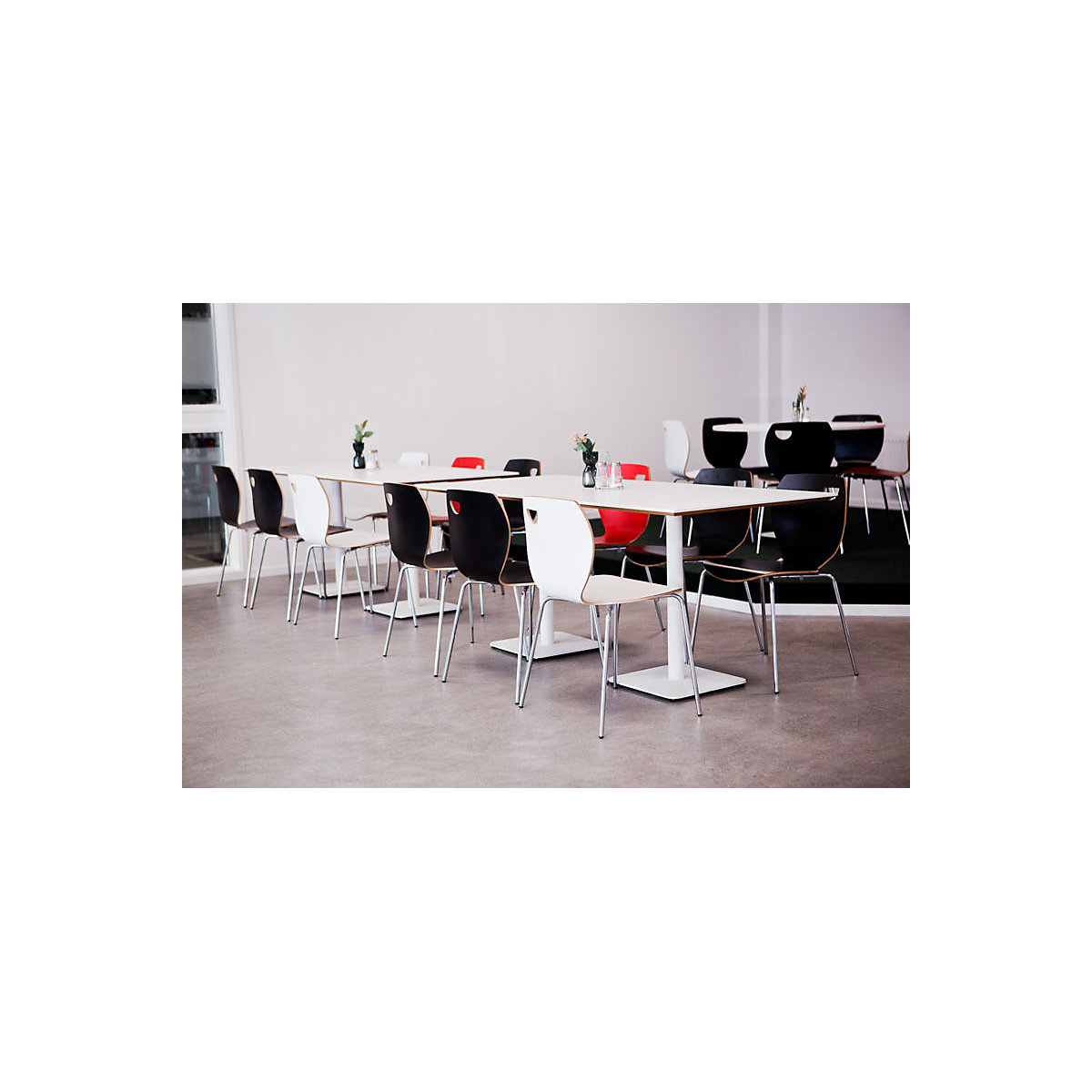 Chaise coque Laura (Illustration du produit 5)-4