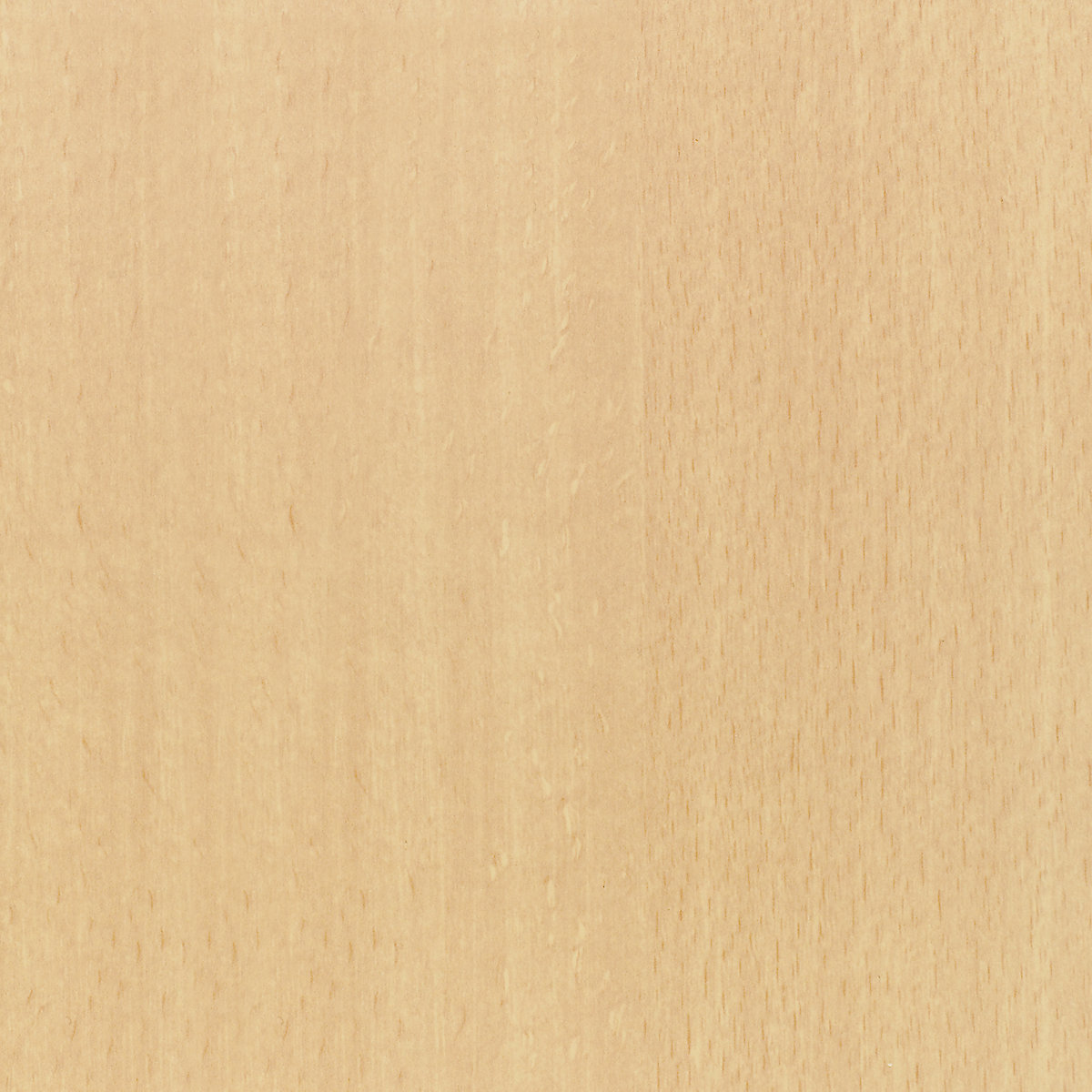 Table polyvalente – eurokraft basic (Illustration du produit 2)-1