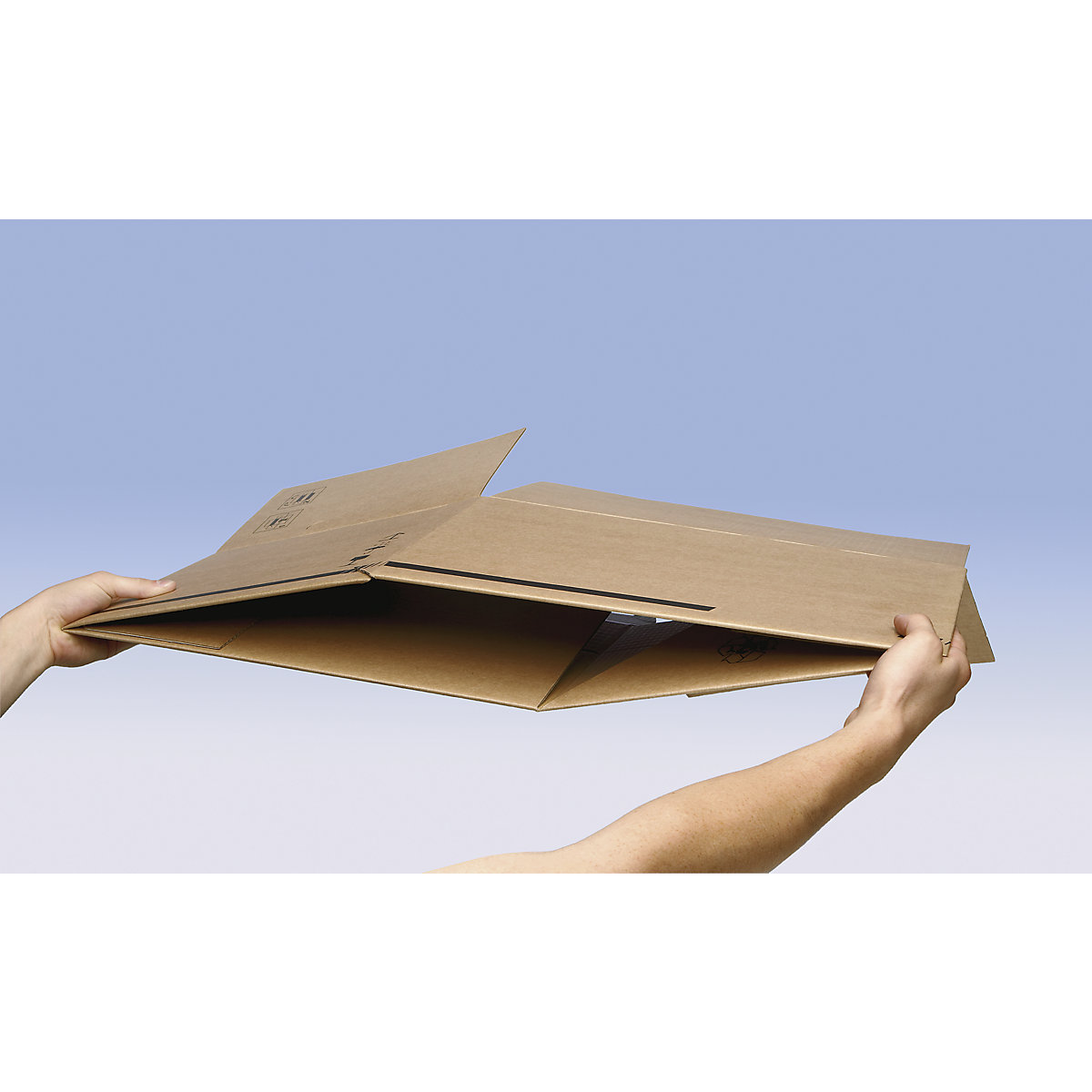 Cajas para uso profesional (Imagen del producto 7)-6