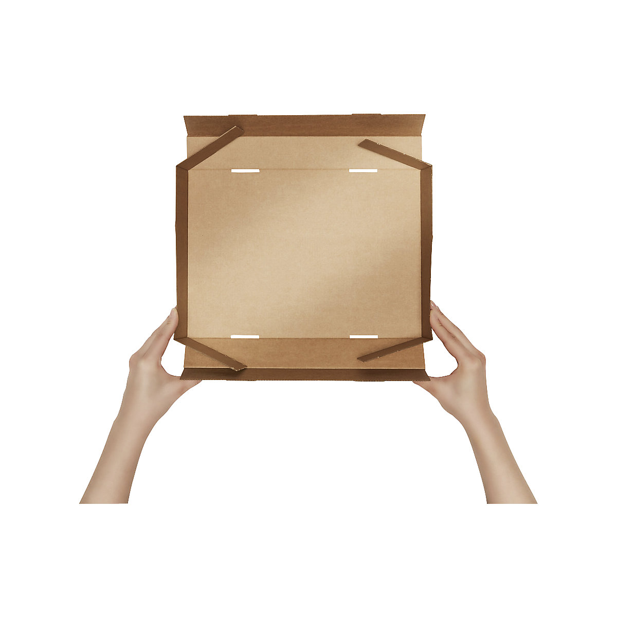 Cardboard box with push-on lid – ratioform terra (Product illustration 2)-1