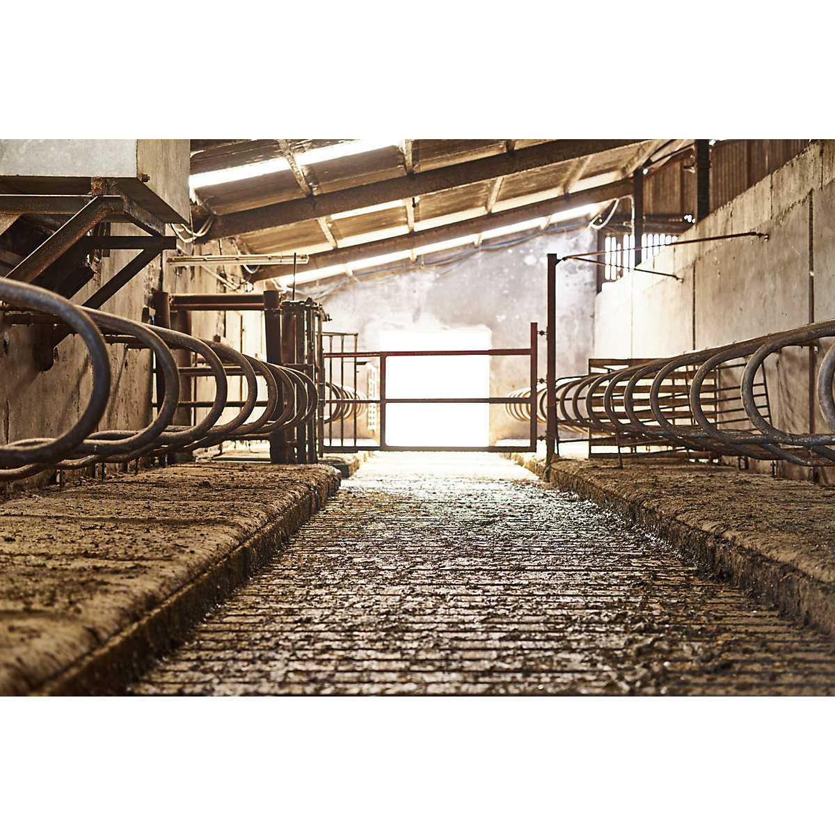 Stable cleaner – Bio-Circle (Product illustration 2)-1