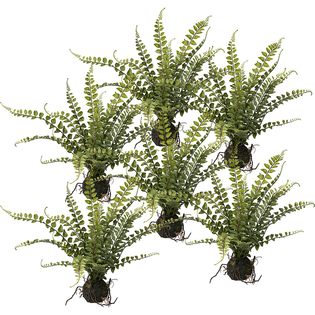 Ferigă cu balot, amb. 6 buc., înălțime 430 mm, verde