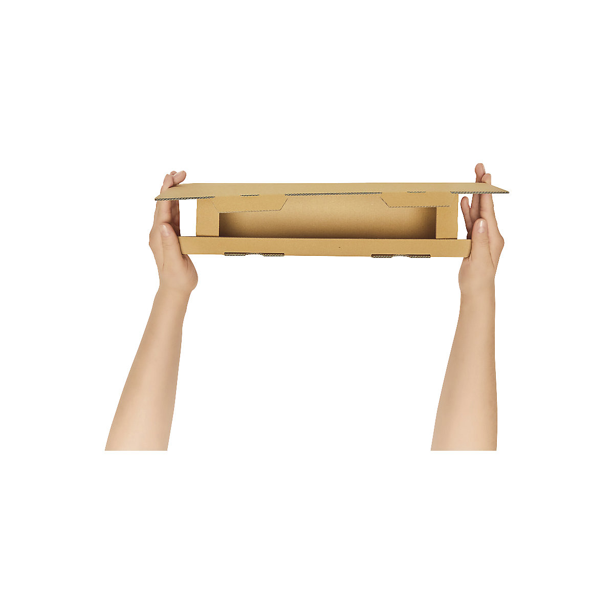 Carton pour bouteilles de vin – ratioform (Illustration du produit 3)-2