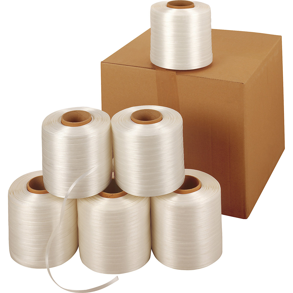 Feuillard PET – HSM (Illustration du produit 3)-2