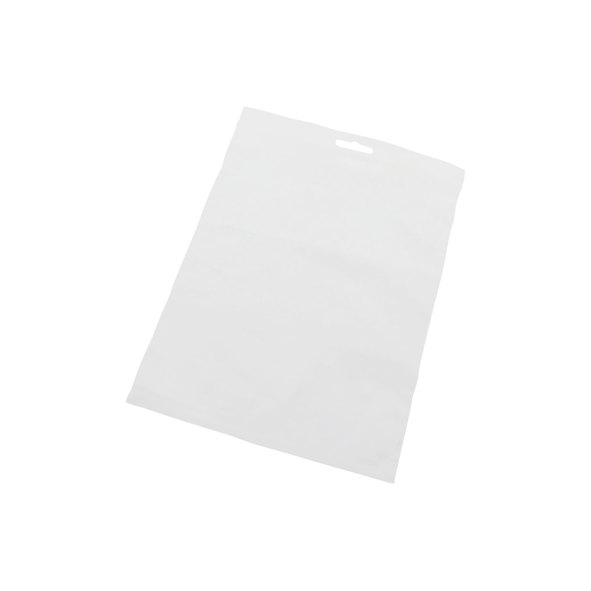 Sachet à fermeture par pression avec trou européen – ratioform economy (Illustration du produit 3)-2