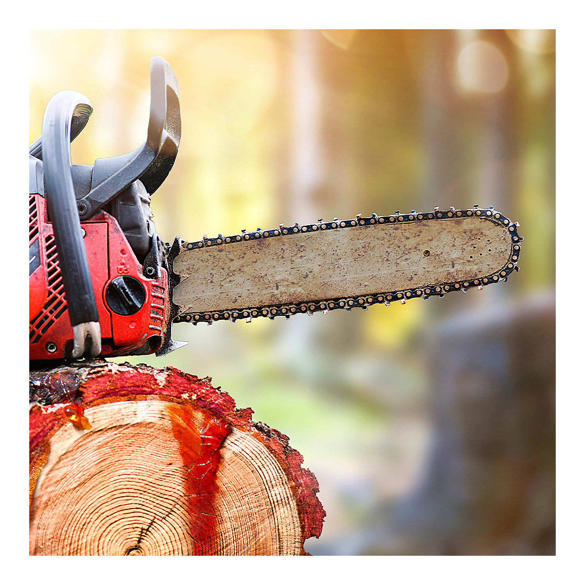 WAS 60.100 special cleaning agent/resin remover – IBS Scherer (Product illustration 5)-4