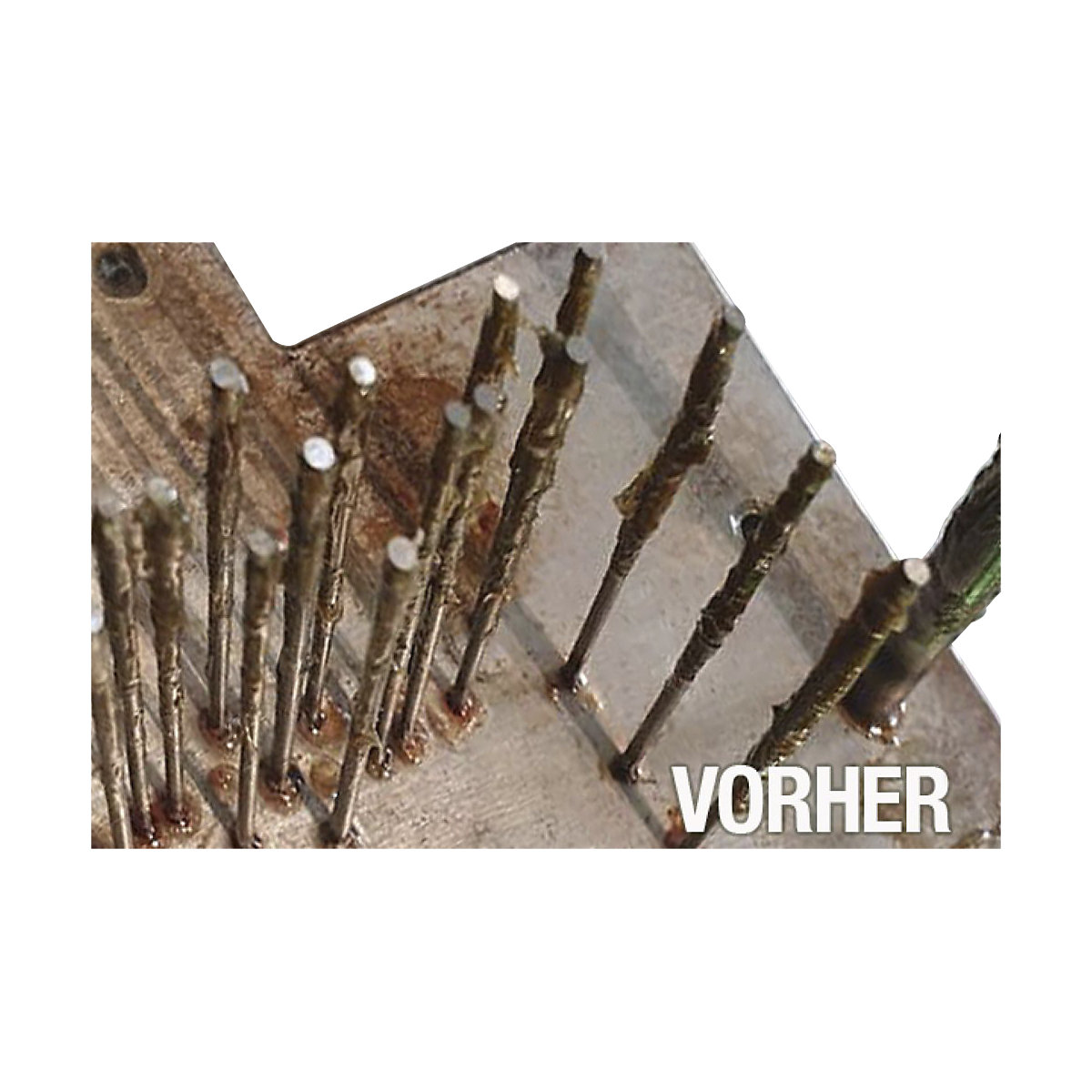 Nettoyeur à ultrasons Master Mould 100 – Bio-Circle (Illustration du produit 5)-4