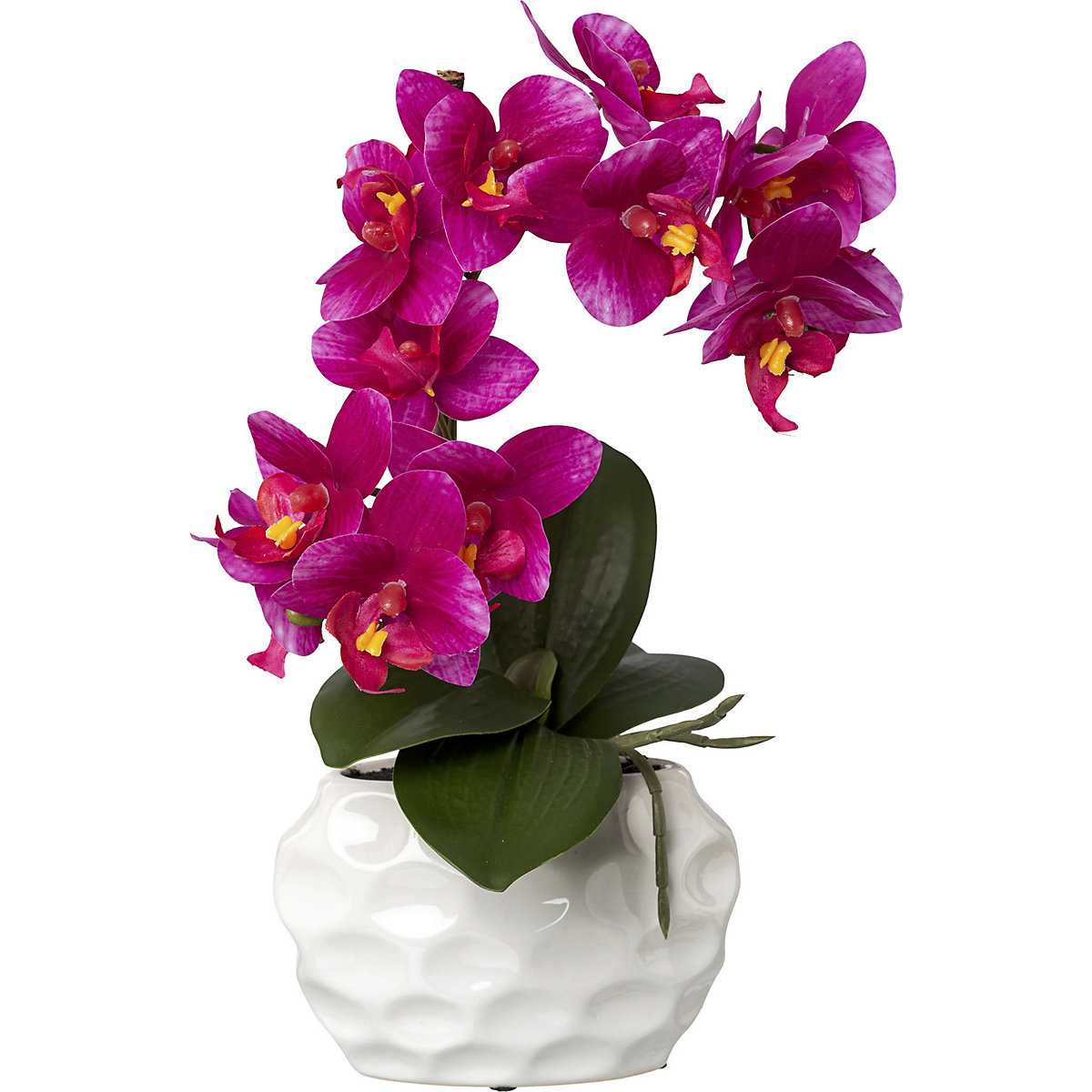 Orquídea, toque real (Imagem do produto 2)-1