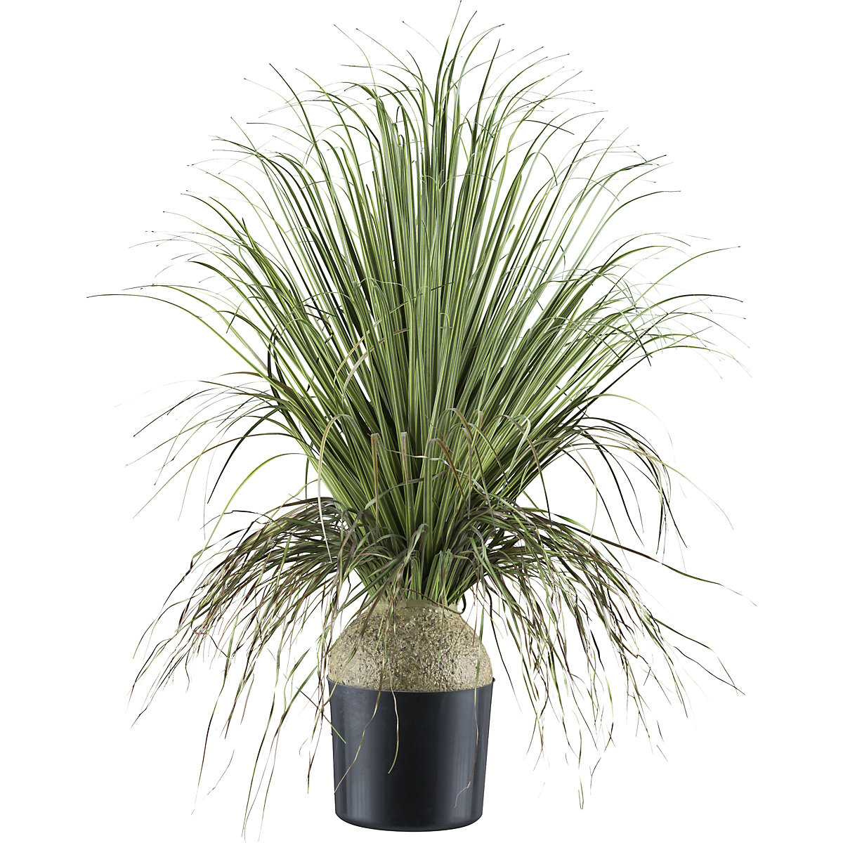 Planta artificial Beaucarnea, vaso de plástico, altura 680 mm-0