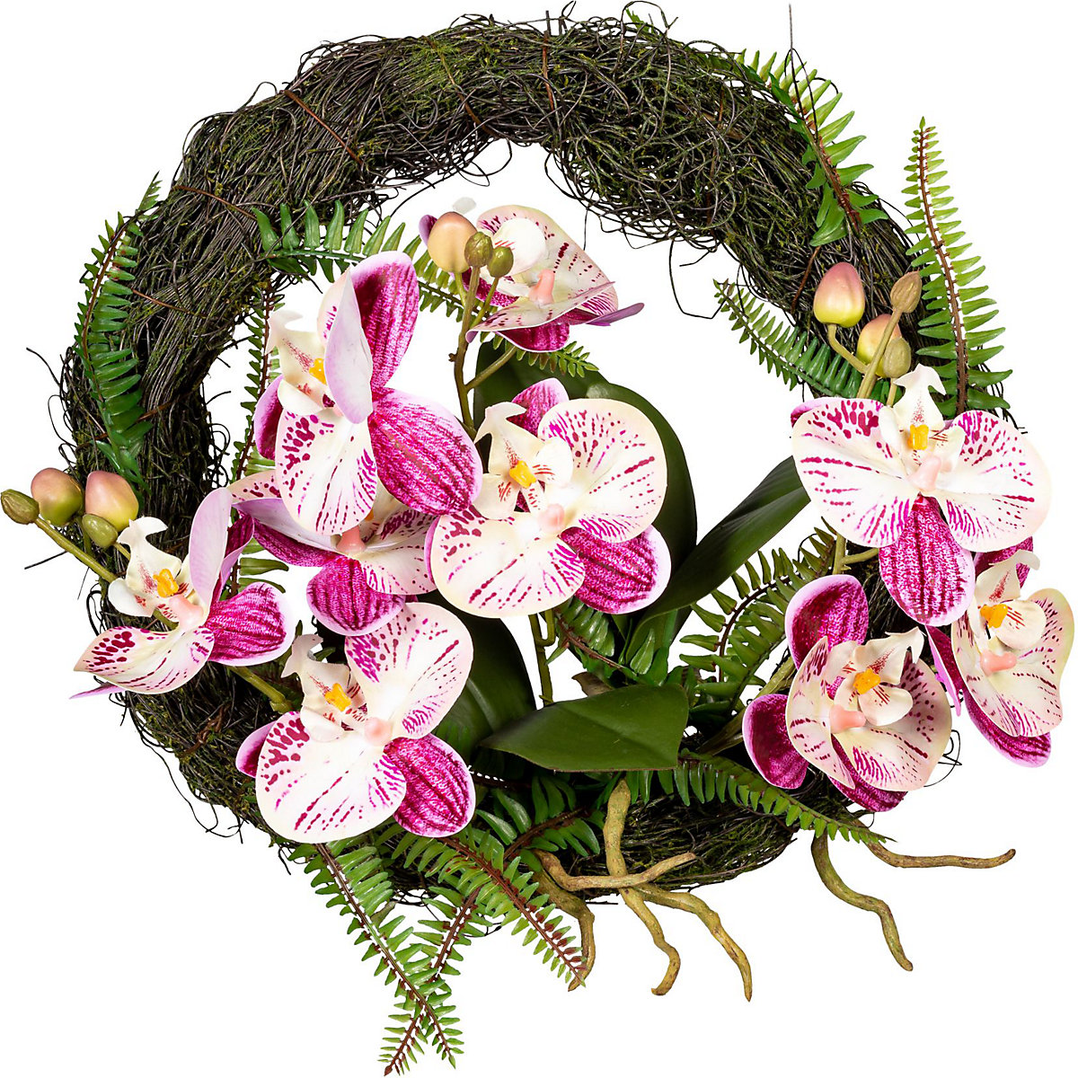 Coroa de parede de orquídeas Phalaenopsis, com raízes e folhas, flores em creme-lilás