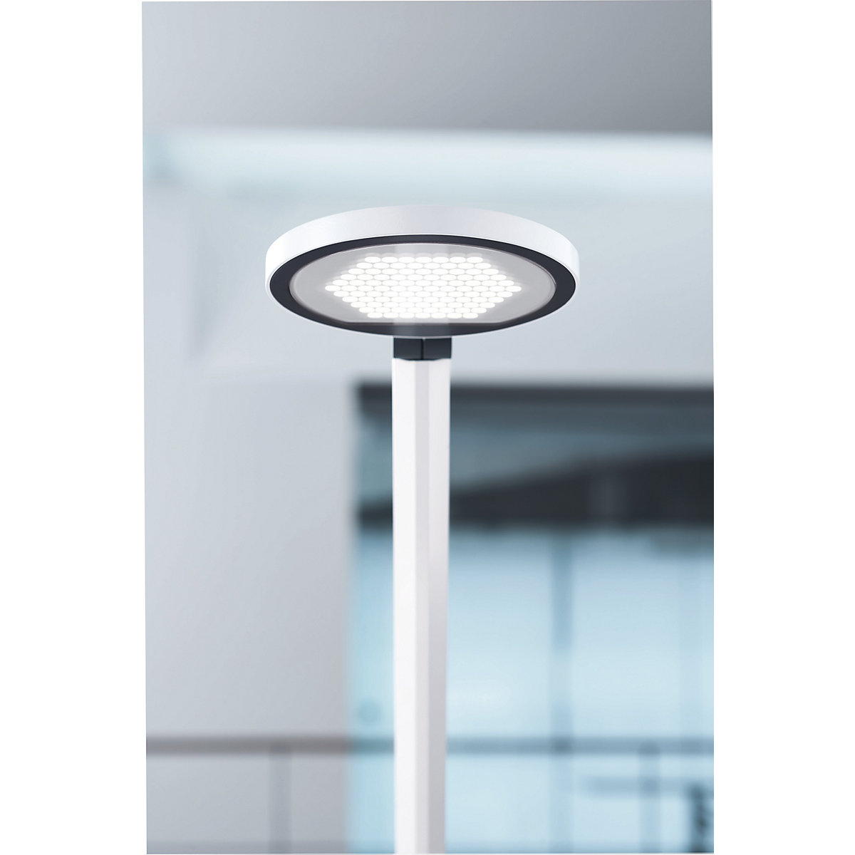 Lámpara de oficina, blanca – Waldmann (Imagen del producto 3)-2