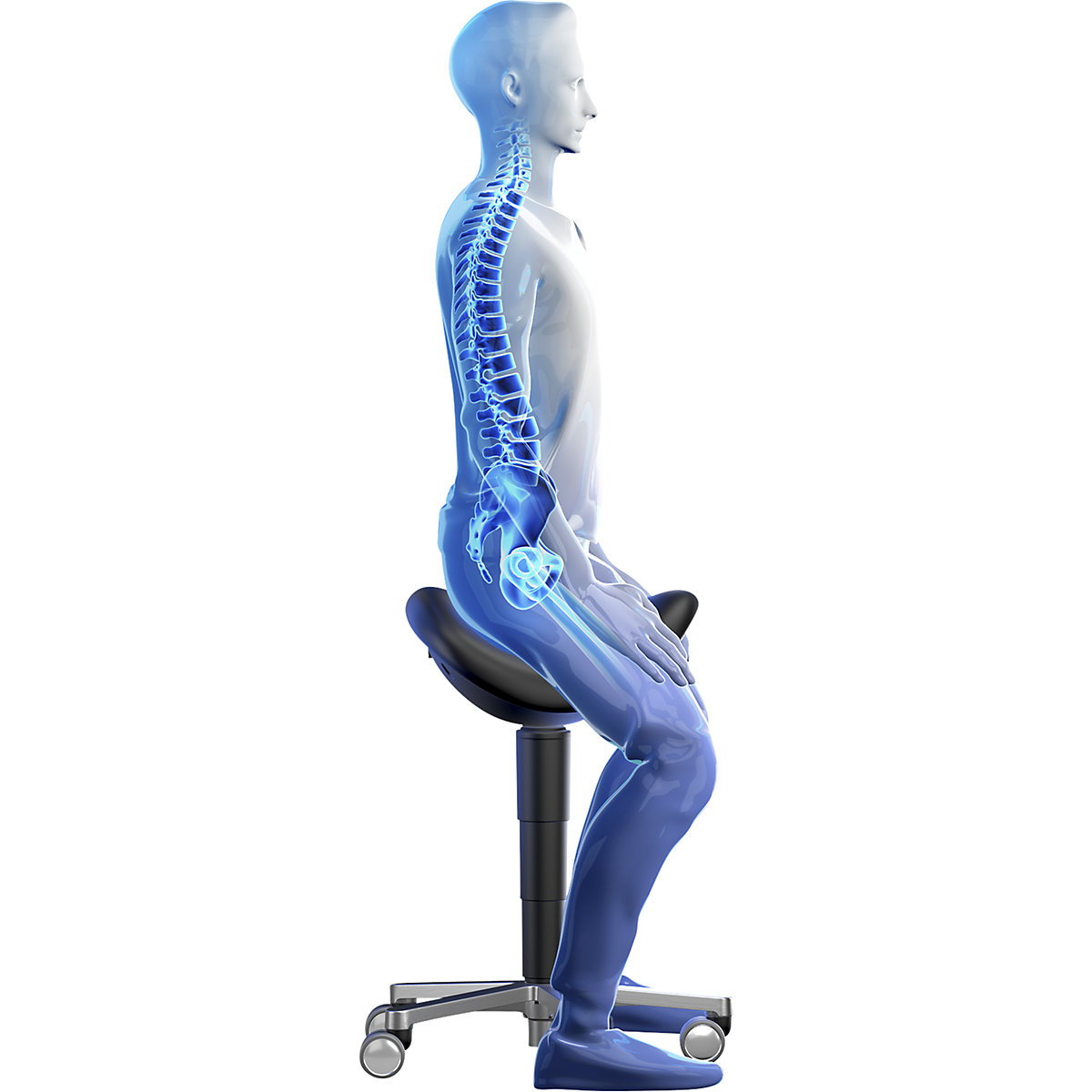 Tabouret selle – bimos (Illustration du produit 5)-4