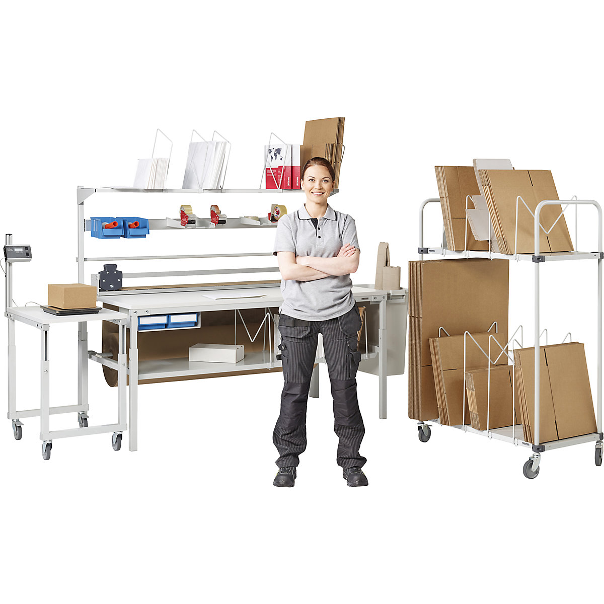 Chariot à cartons HCT410 – Treston (Illustration du produit 3)-2