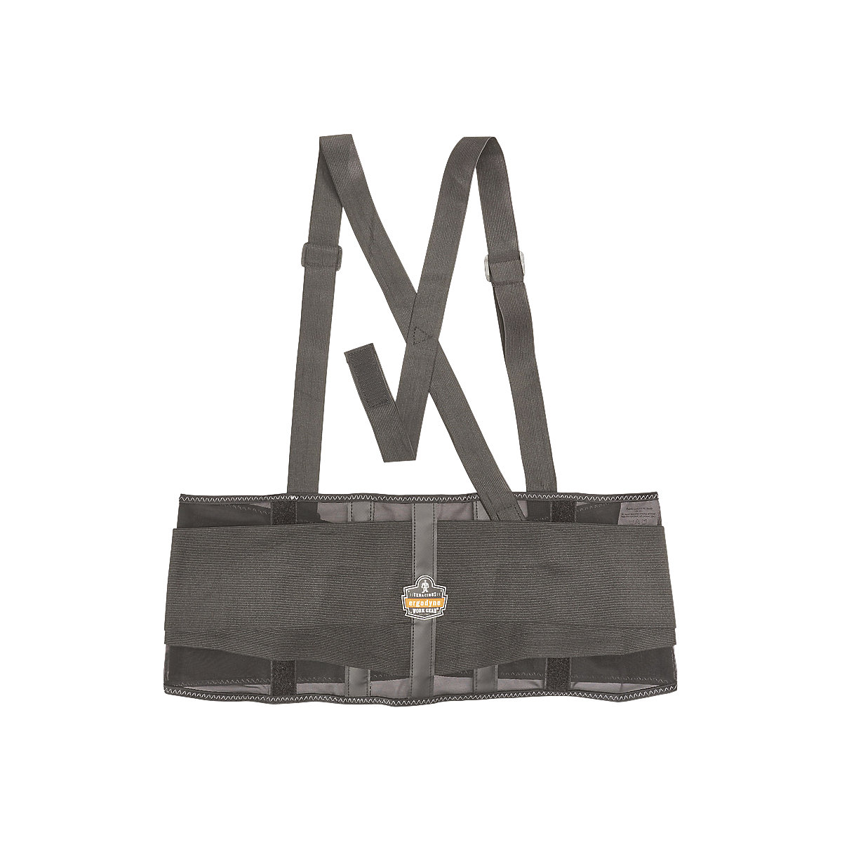 Ceinture de soutien dorsal Standard (Illustration du produit 2)-1