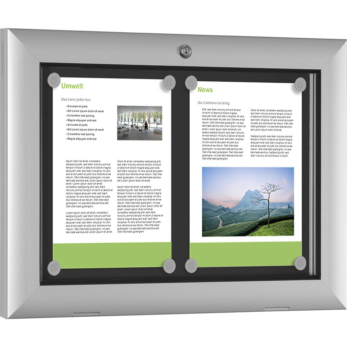 Vitrine para interiores e exteriores (Imagem do produto 5)-4