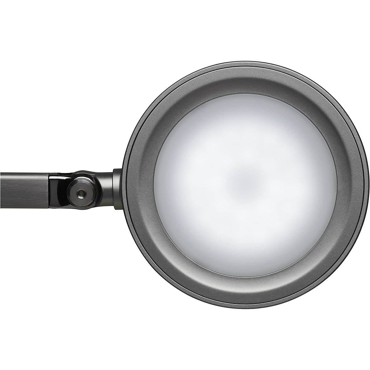 Candeeiro de mesa LED MAULgrace – MAUL (Imagem do produto 4)-3