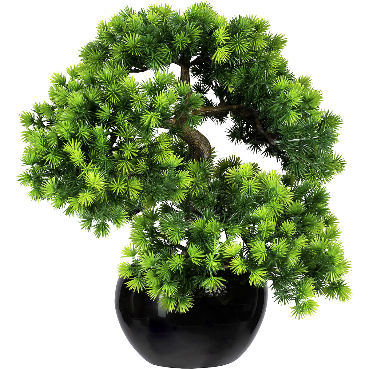 Bonsai lariço, com gravilha