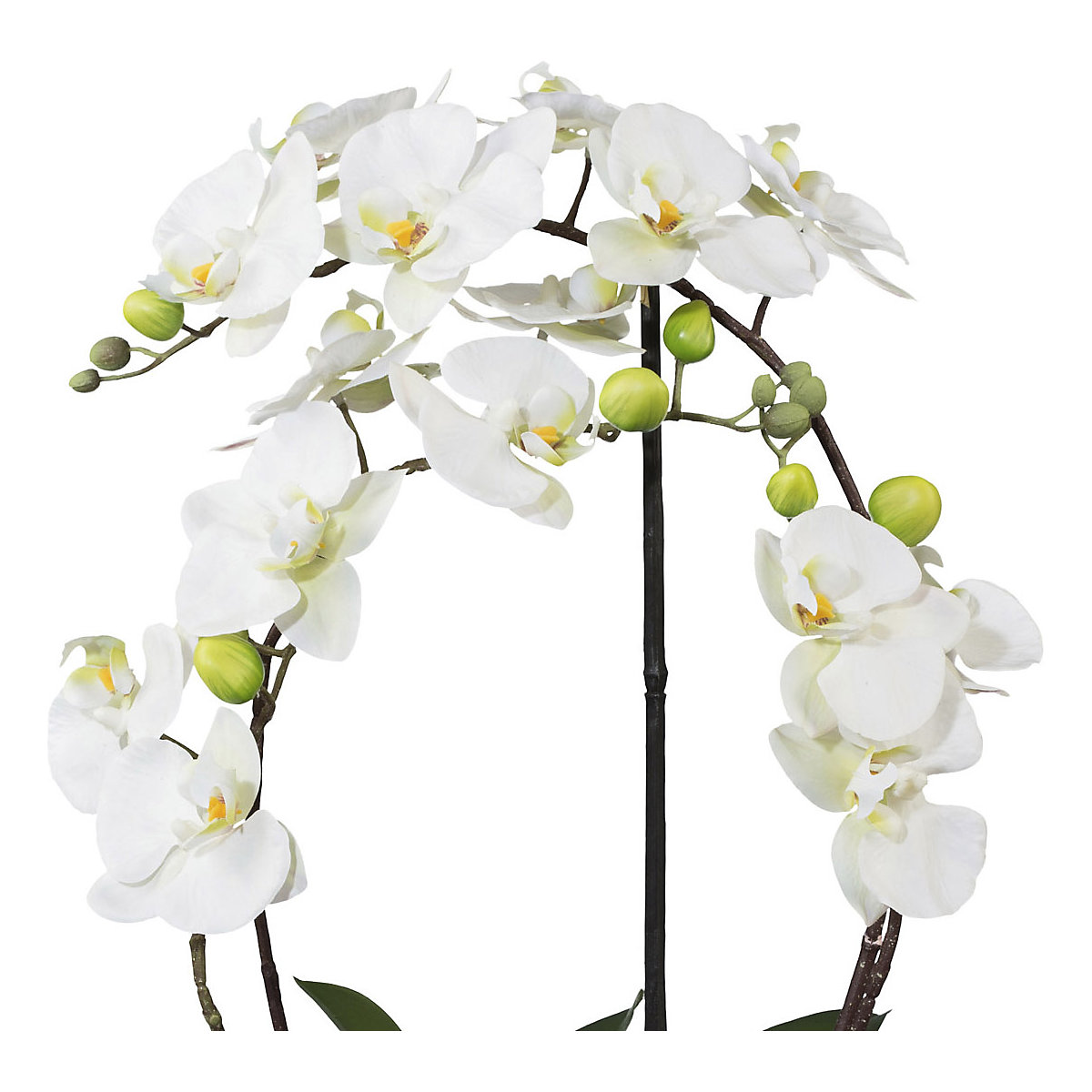 Orquídea (Imagem do produto 2)-1