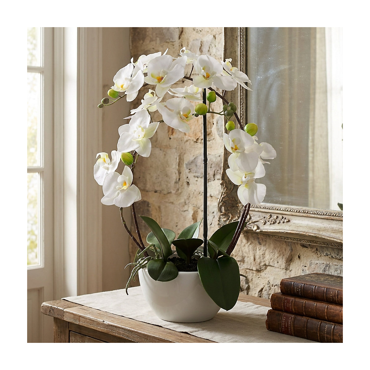 Orquídea (Imagem do produto 3)-2