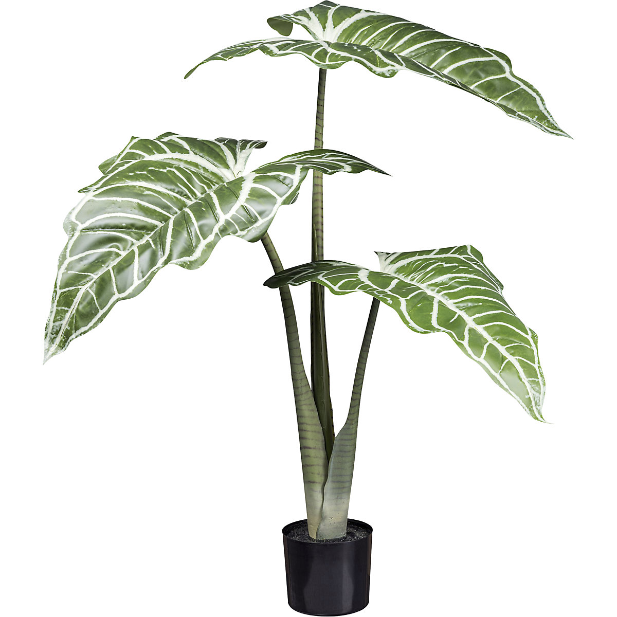 Planta artificial Colocasia White Lava