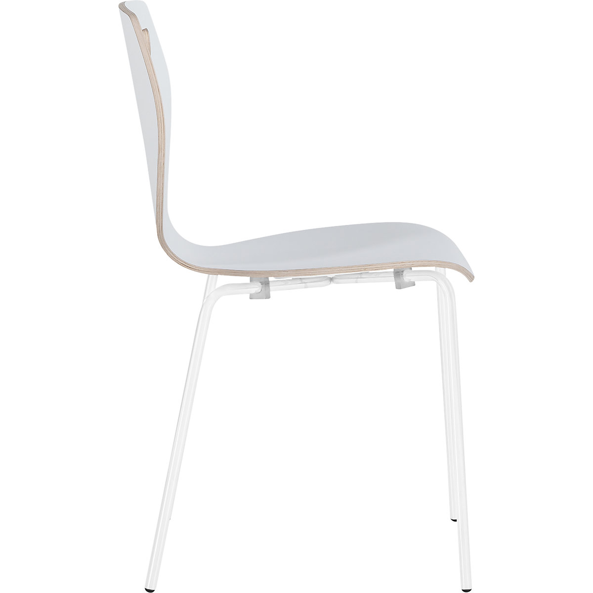 Cadeira em forma de concha Laura (Imagem do produto 11)-10