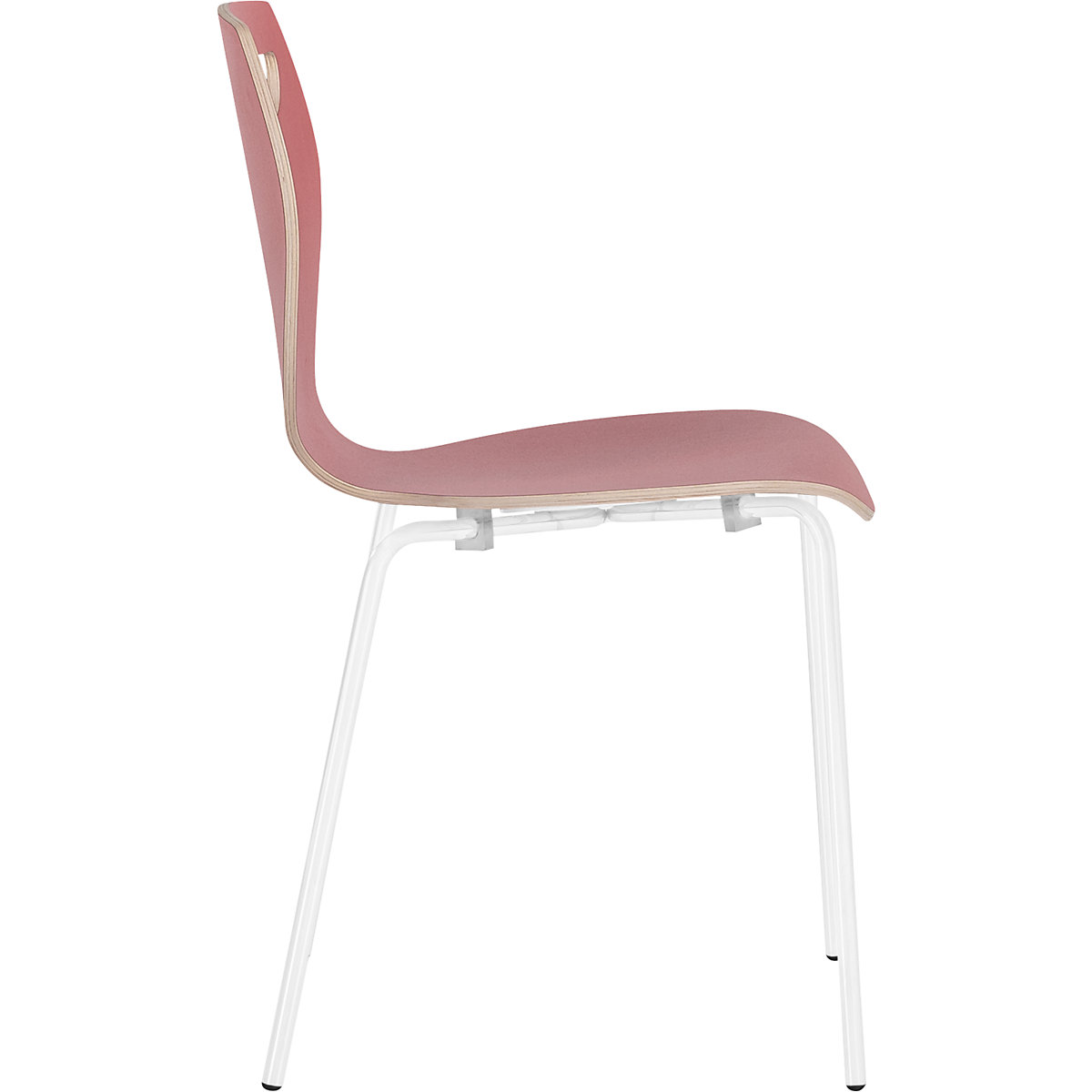 Cadeira em forma de concha Laura (Imagem do produto 11)-10