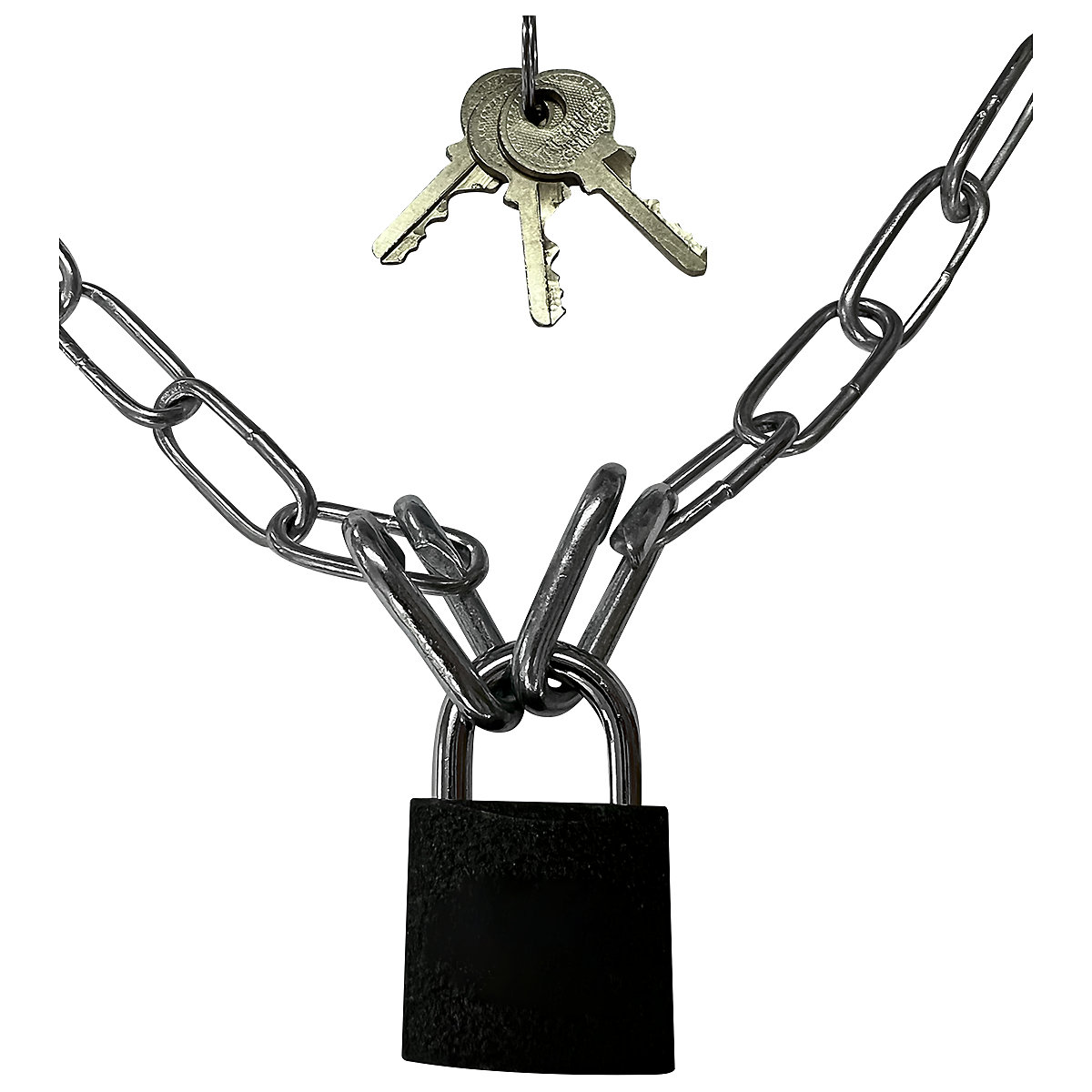 LFI Ladder Guard (Product illustration 2)-1