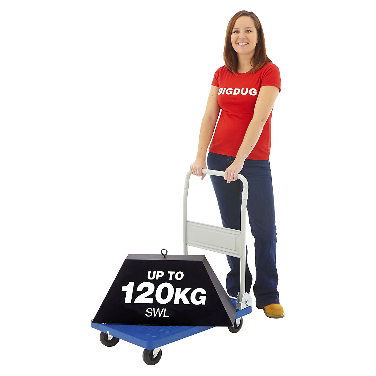 Plastic Platform Trolleys (Product illustration 5)-4