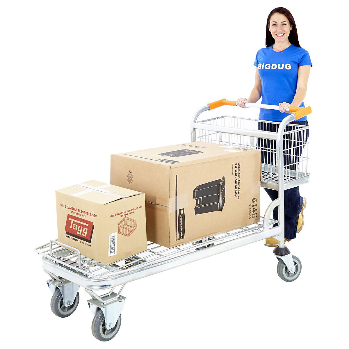 Nestable Cash And Carry Trolleys, Nestable Cash And Carry Trolleys, Nestable Cash And Carry Trolley 920h x 730w x 1495d mm-0