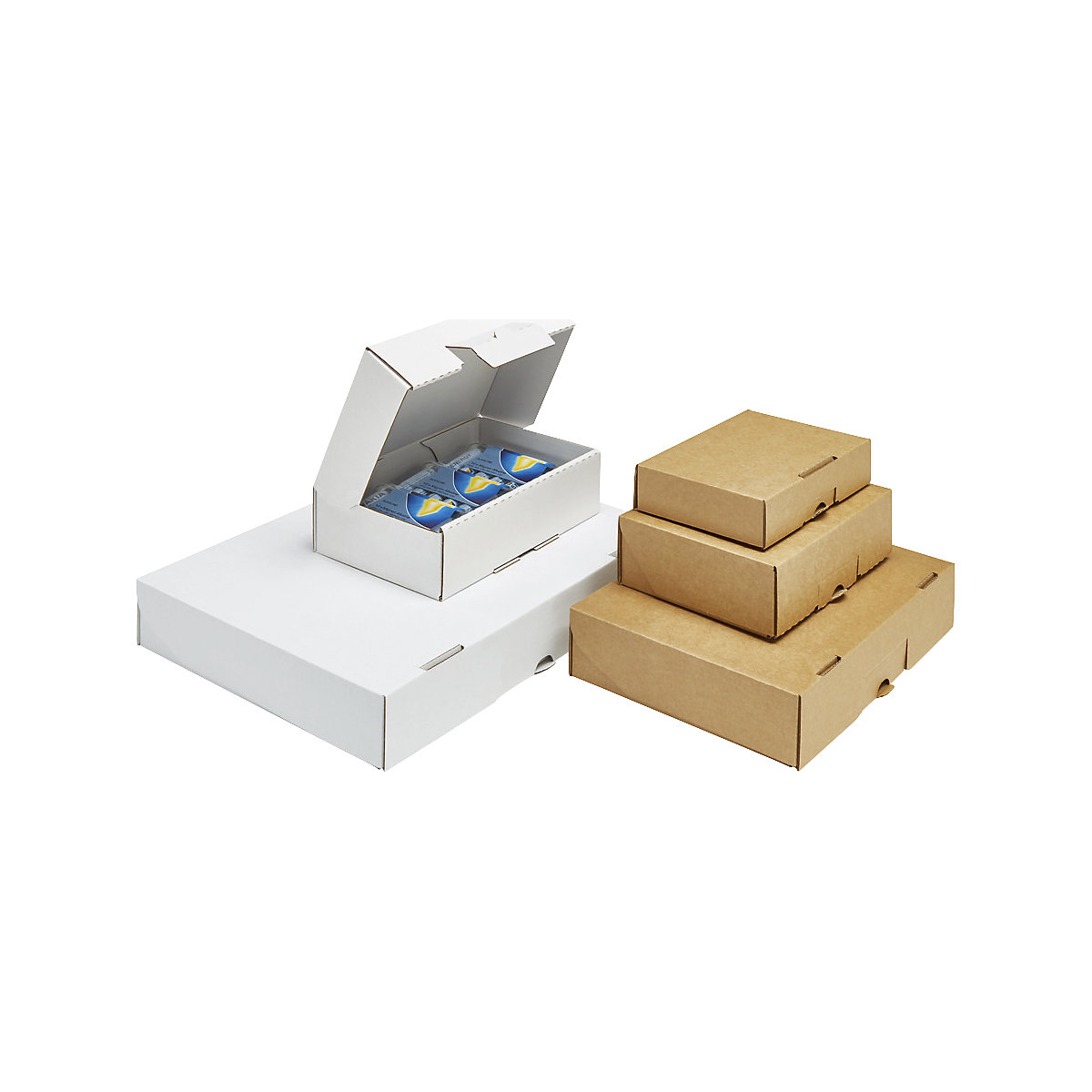 Scatola di cartone – ratioform