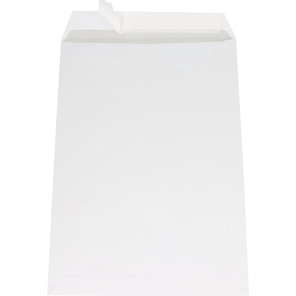 Busta per UNI C4 – ratioform (Foto prodotto 2)-1