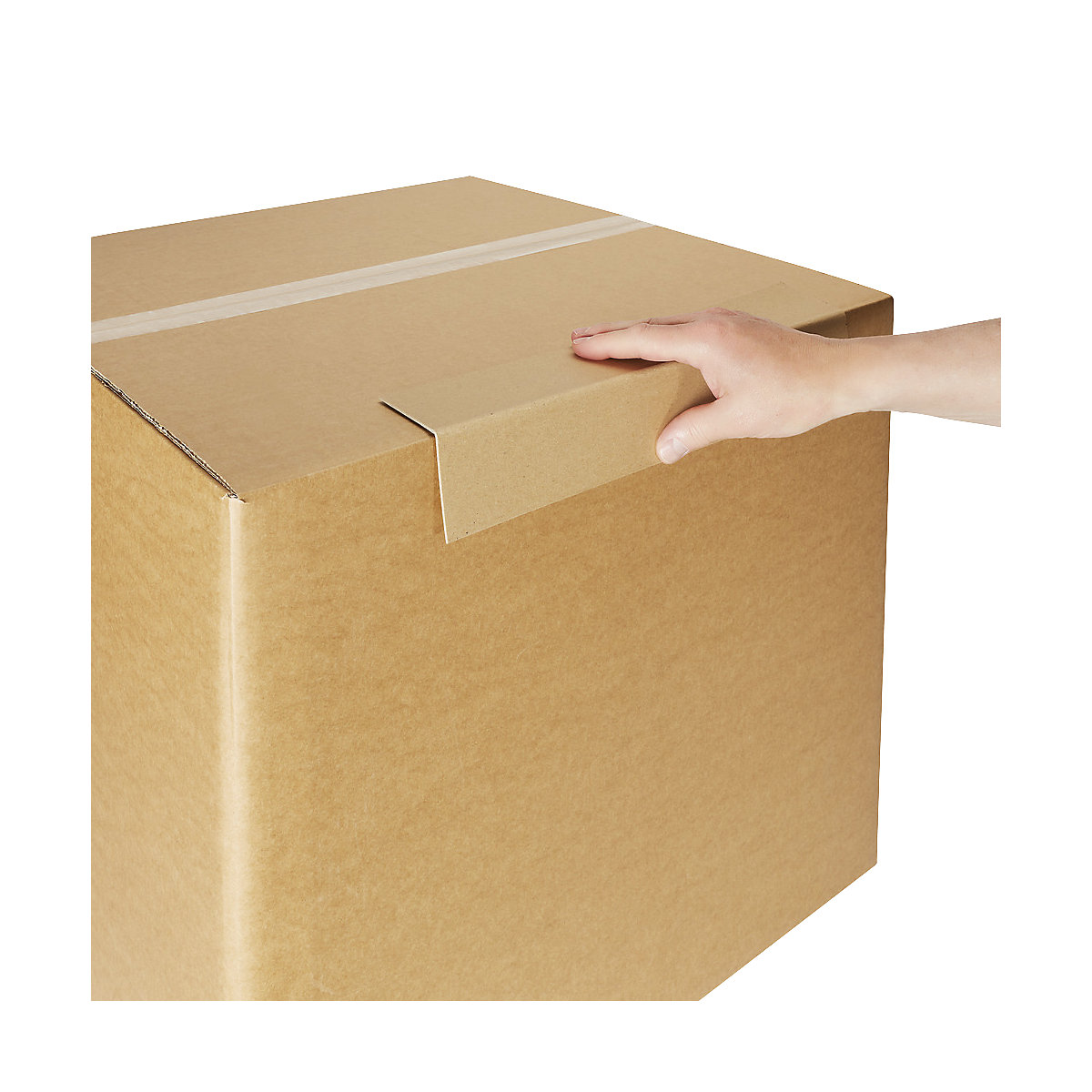 Listello paracolpi – ratioform (Foto prodotto 4)-3