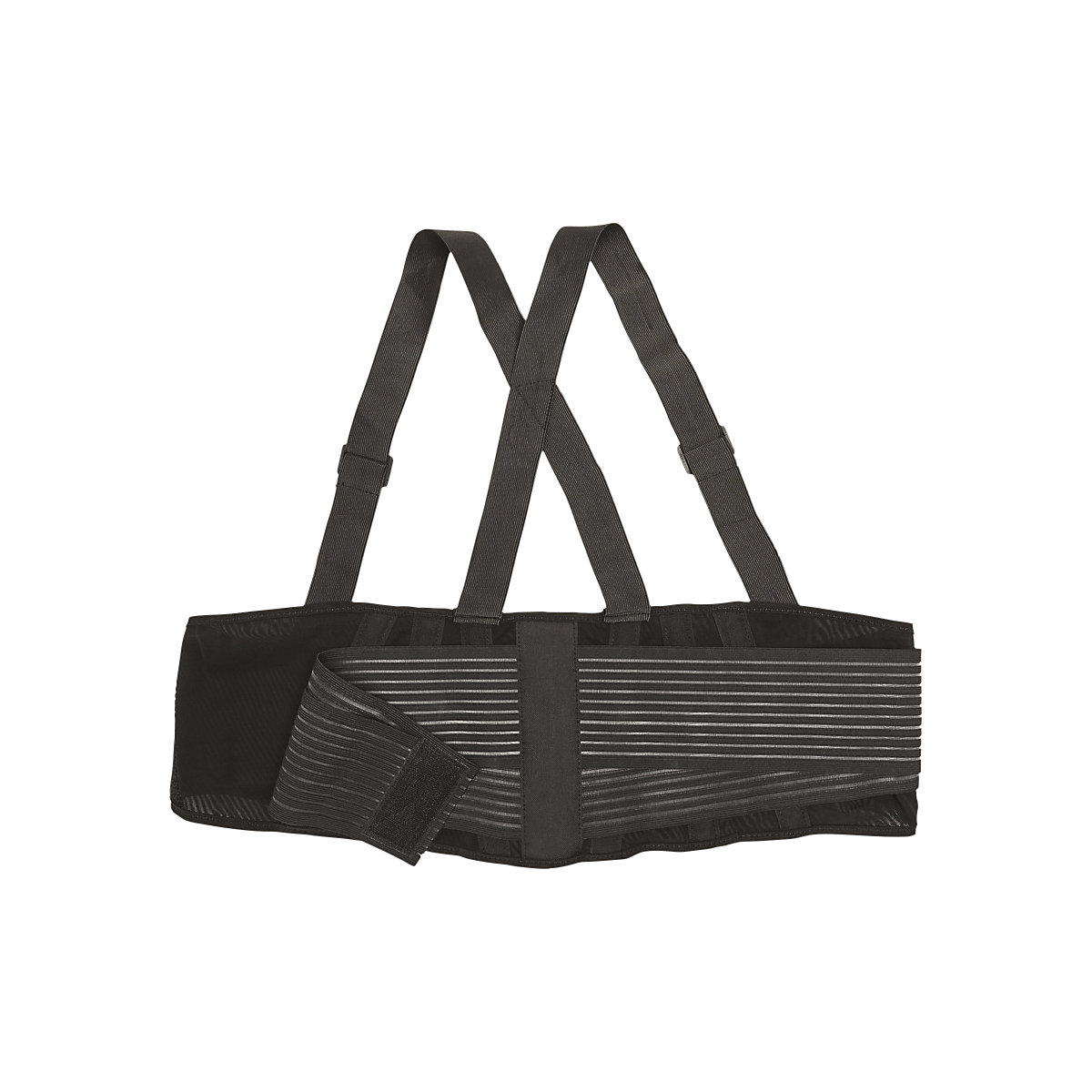 Cintura di supporto per la schiena Premium (Foto prodotto 2)-1