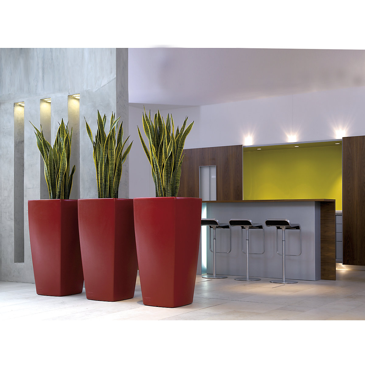 Recipiente para plantas – DEGARDO (Imagem do produto 3)-2