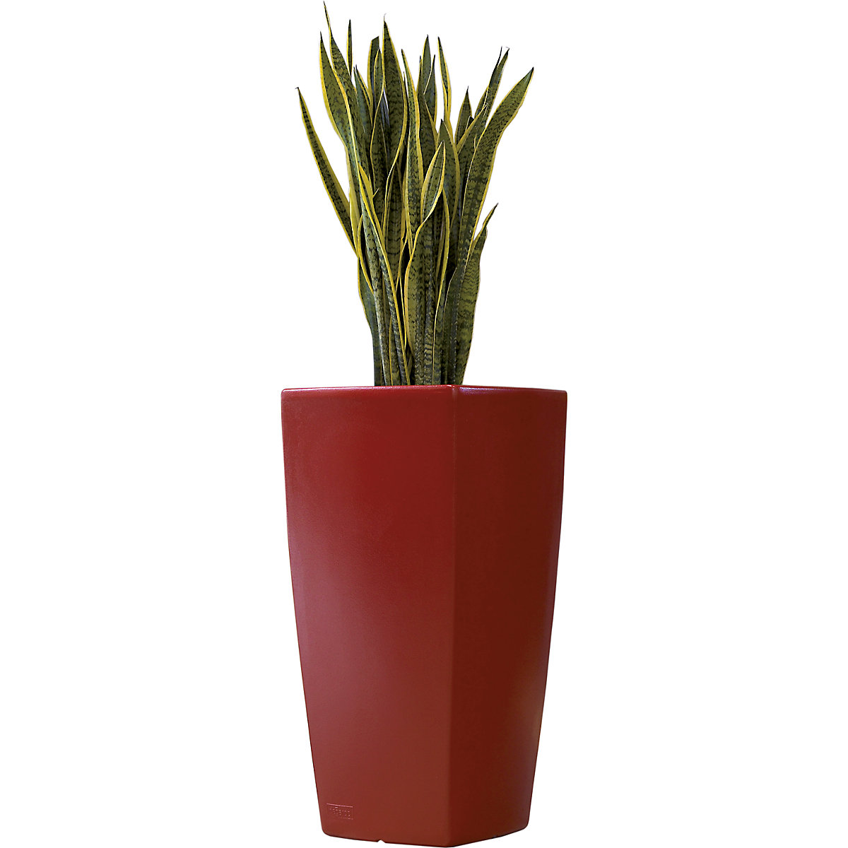 Recipiente para plantas – DEGARDO (Imagem do produto 4)-3