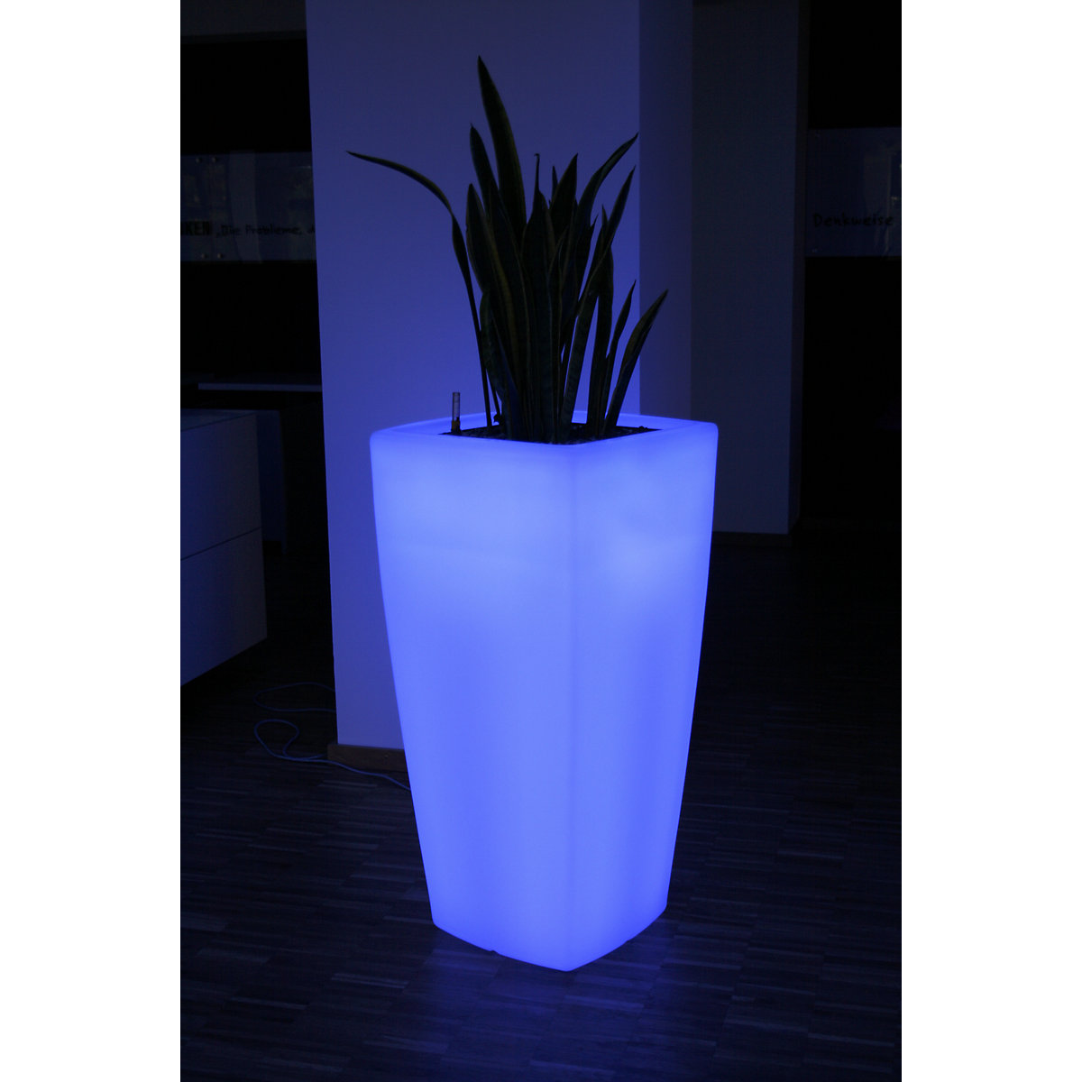 Recipiente para plantas – DEGARDO (Imagem do produto 3)-2