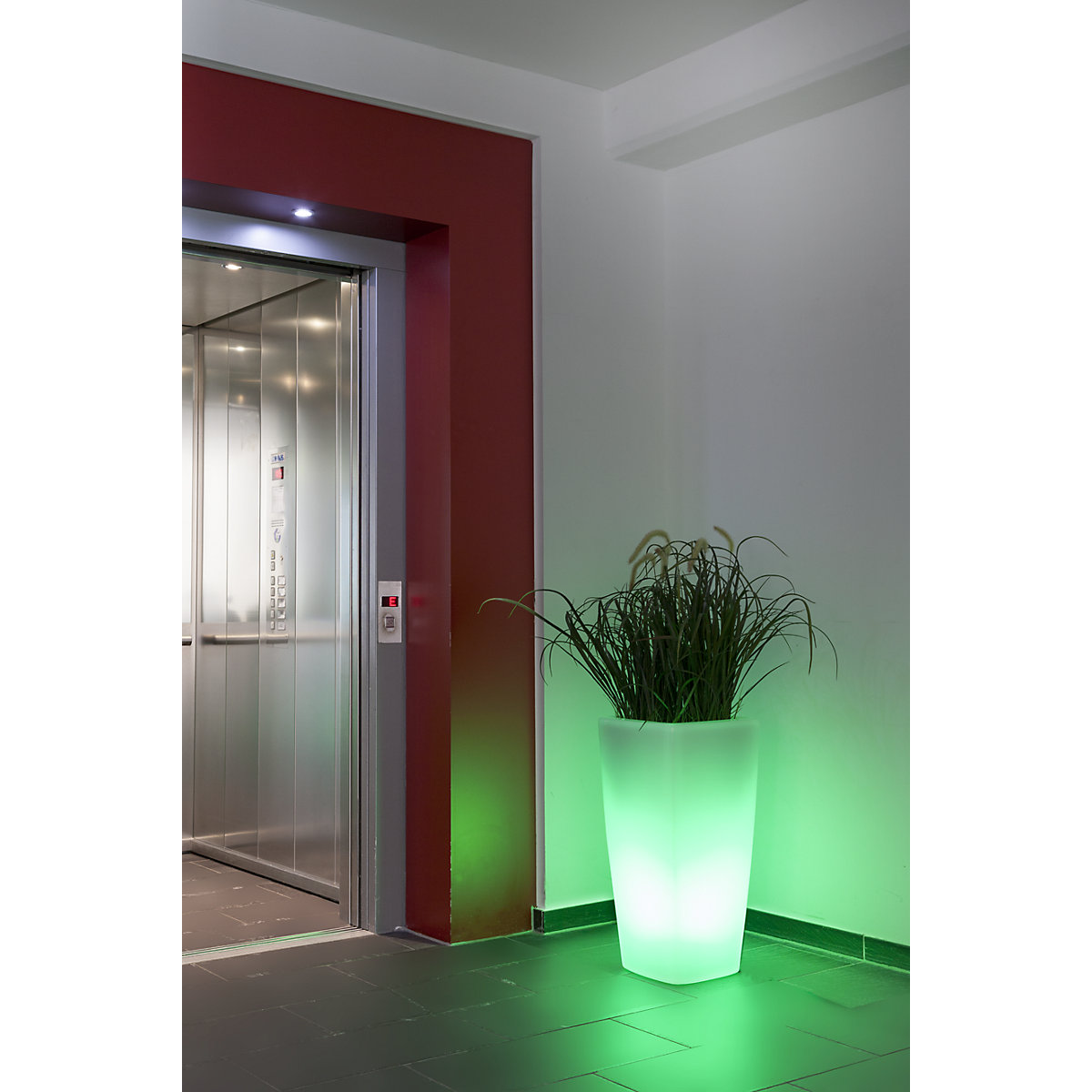 Recipiente para plantas – DEGARDO (Imagem do produto 4)-3