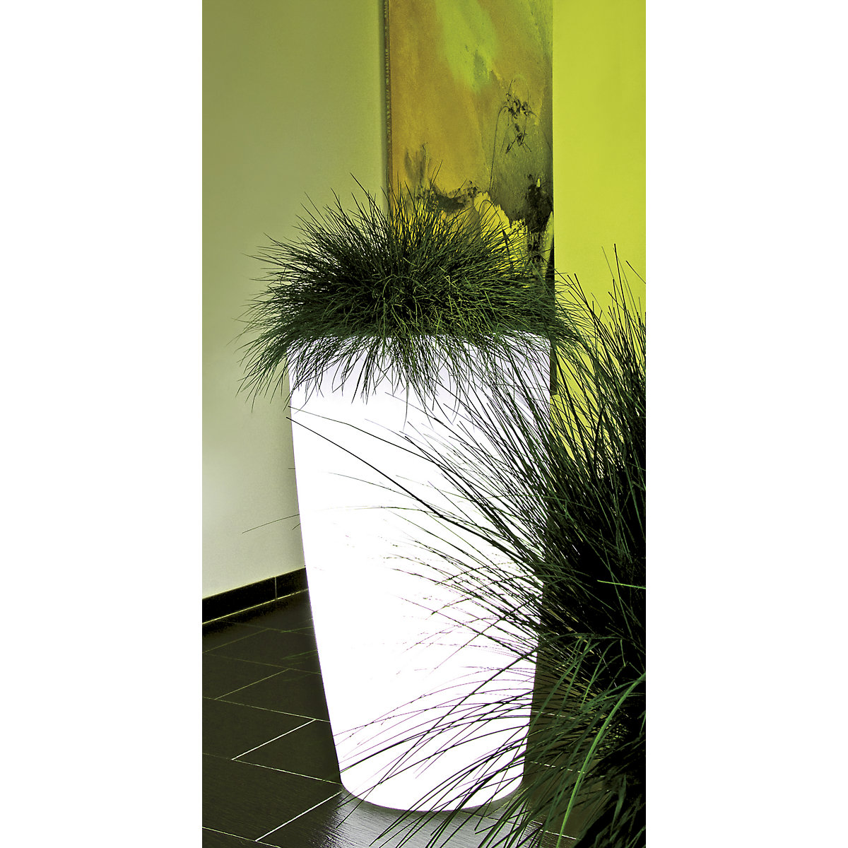 Recipiente para plantas – DEGARDO (Imagem do produto 2)-1