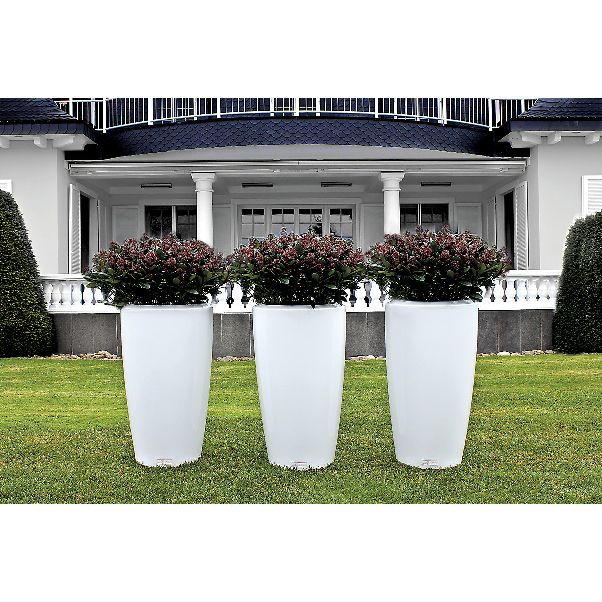 Recipiente para plantas – DEGARDO (Imagem do produto 3)-2