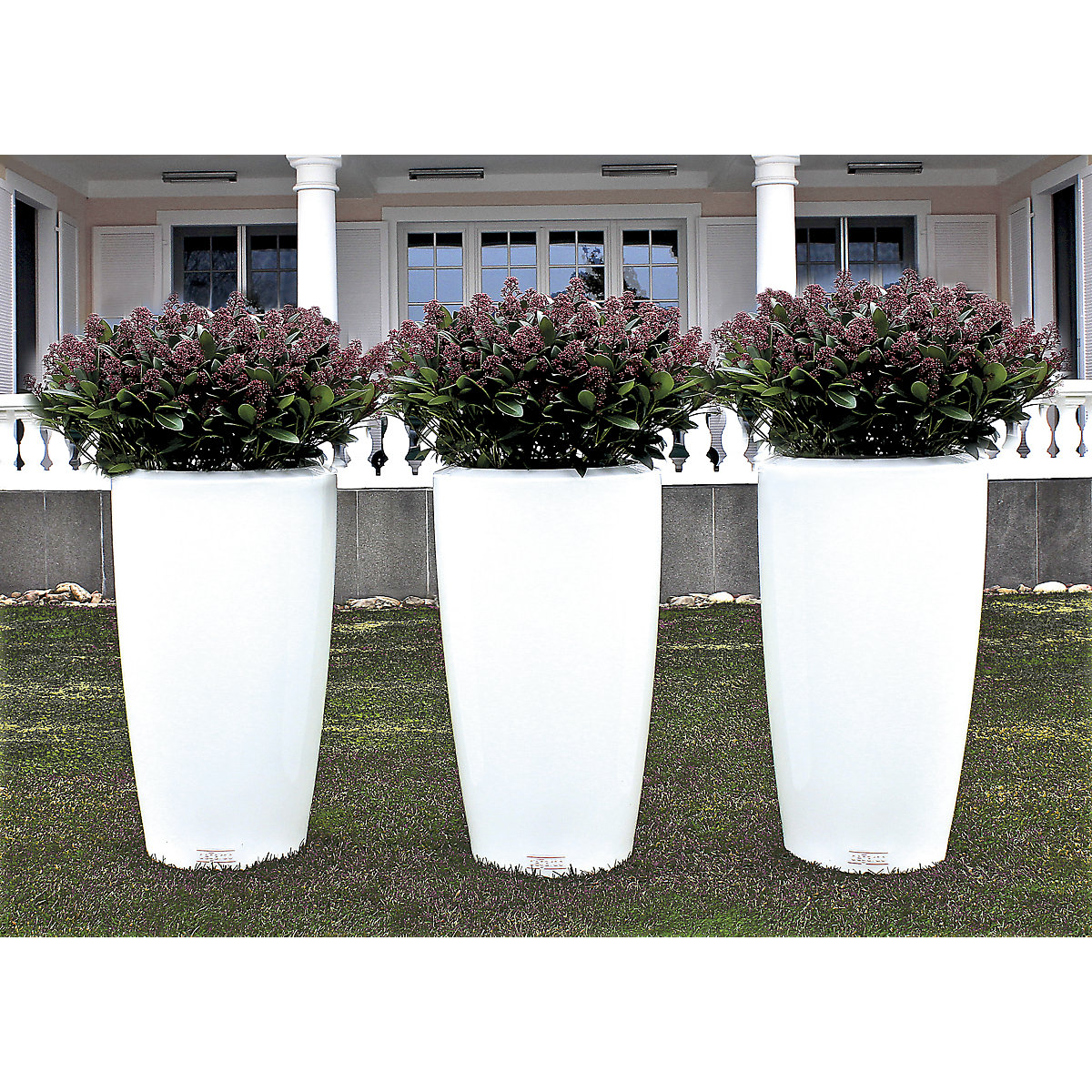 Recipiente para plantas – DEGARDO (Imagem do produto 4)-3