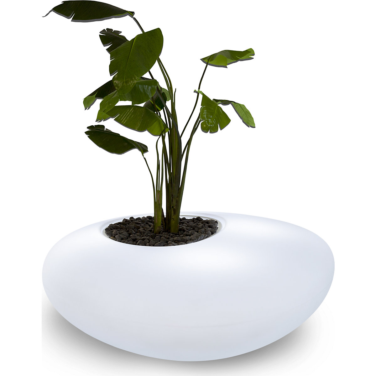 Recipiente para plantas – DEGARDO, STORUS I, AxLxP 500 x 1920 x 1670 mm, transparente, iluminado com RGB+CCT-0