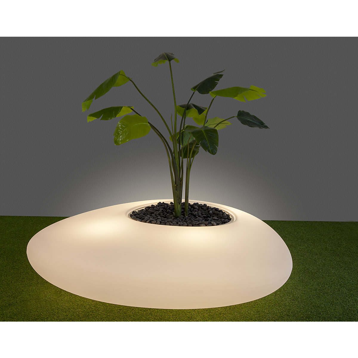Recipiente para plantas – DEGARDO (Imagem do produto 3)-2