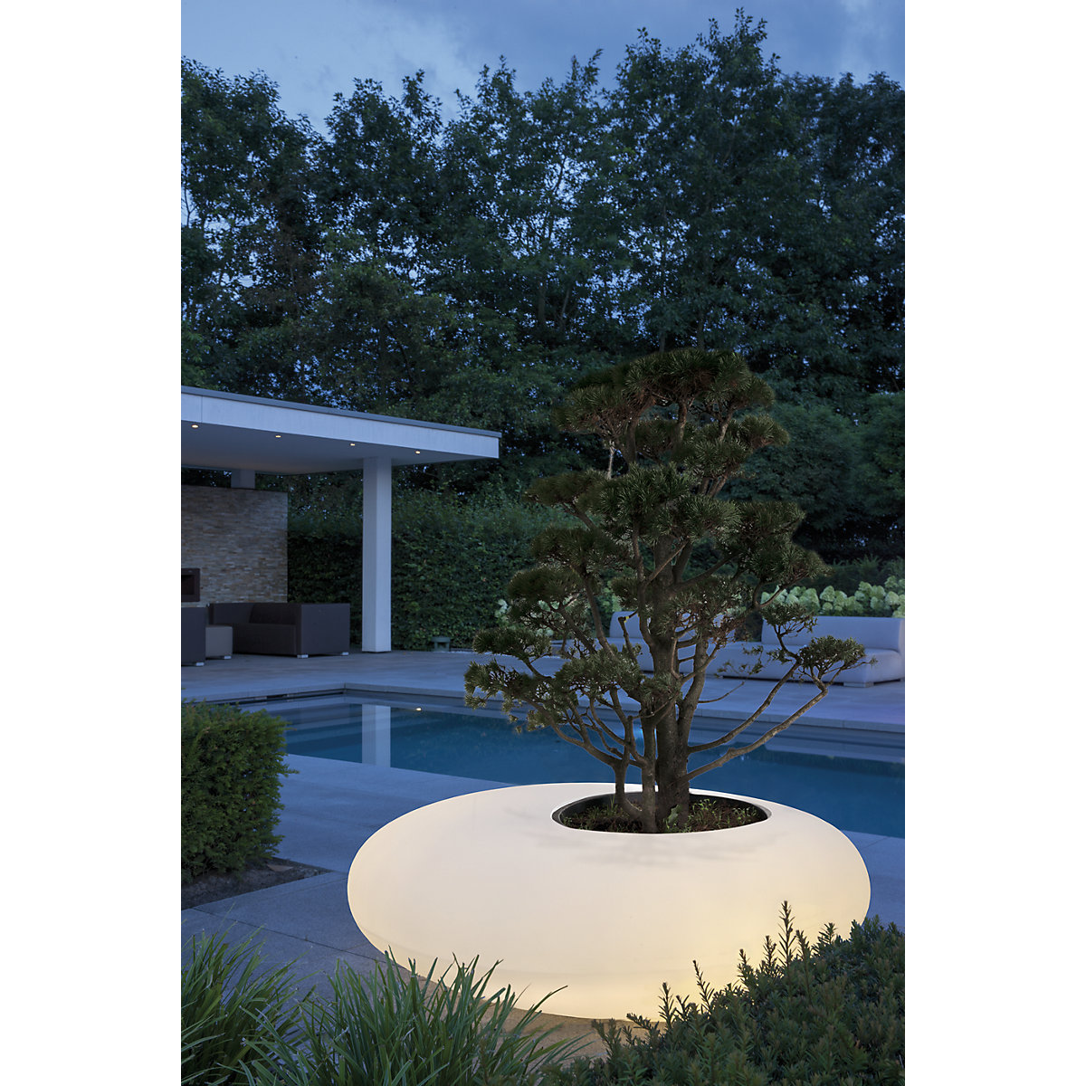 Recipiente para plantas – DEGARDO (Imagem do produto 4)-3